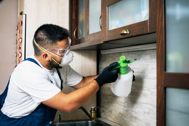 Best Pest Inspection Near Me  in Como, WI